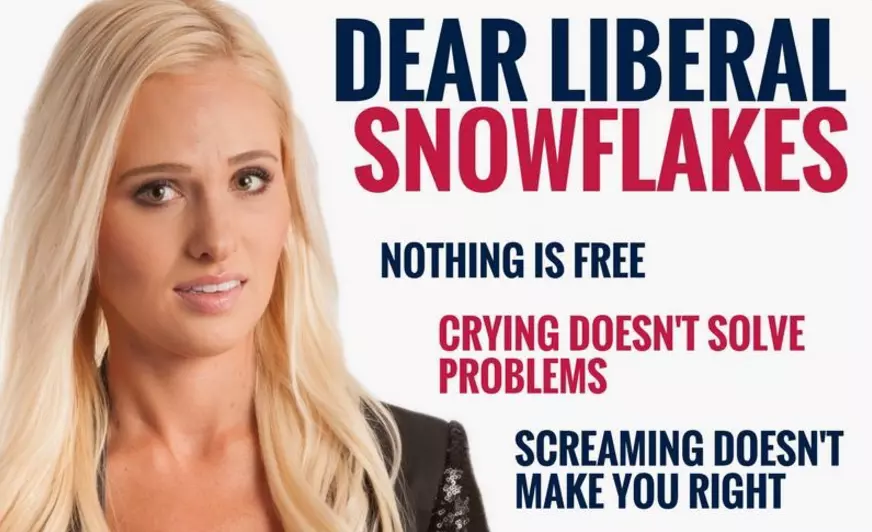 tomi lahrens dear liberal snowflakes picture meme image