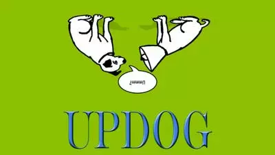 updog