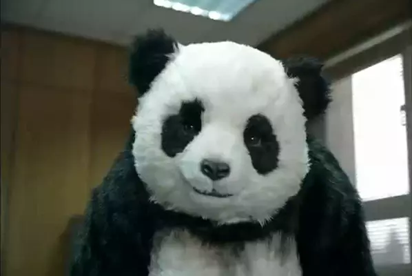 never say no to panda meme image