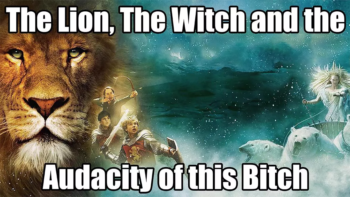 the lion the witch and the audacity of this bitch meme image