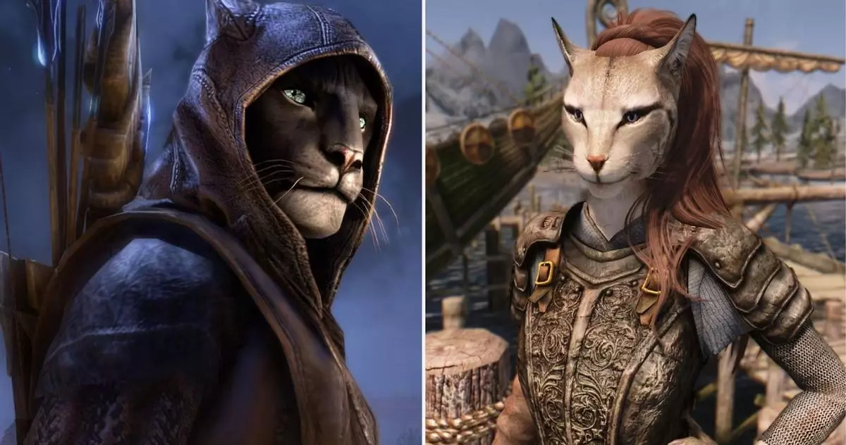 khajiit khajiit has wares meme image