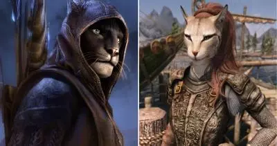 khajiit khajiit has wares