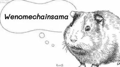 wenomechainsama