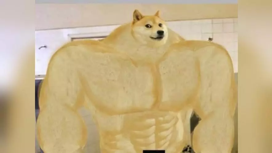 swole doge meme image