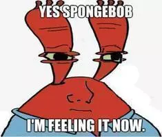 are you feeling it now mr krabs meme image