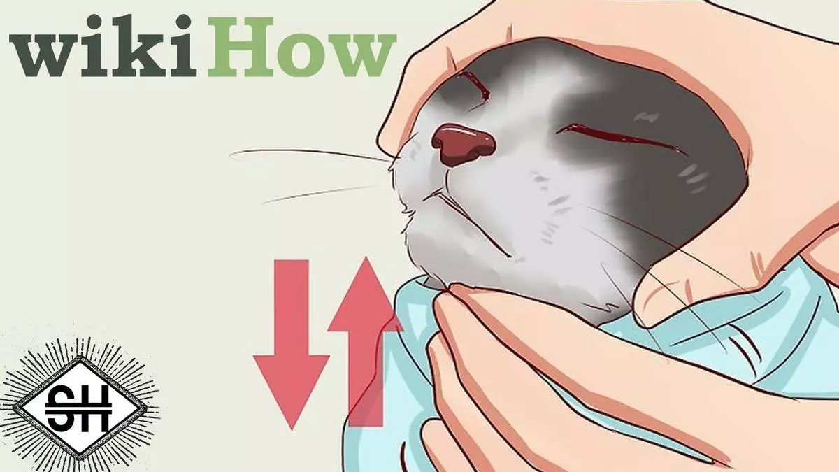 wikihow meme image