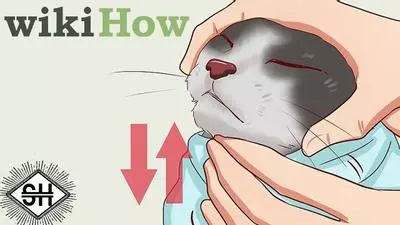 wikihow