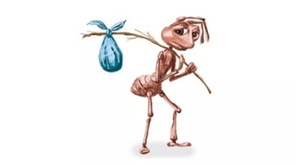 sad ant with bindle homeless ant how it feels to ant meme image
