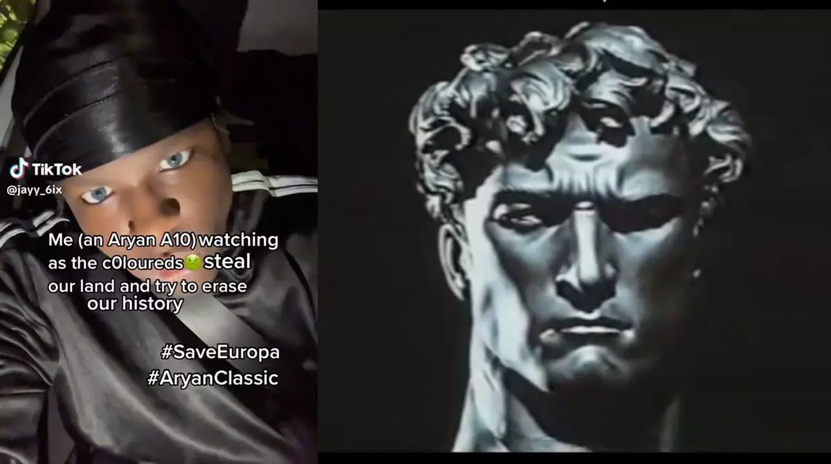 aryan classic tiktok save europa mfers meme image