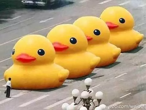 big yellow duck meme image