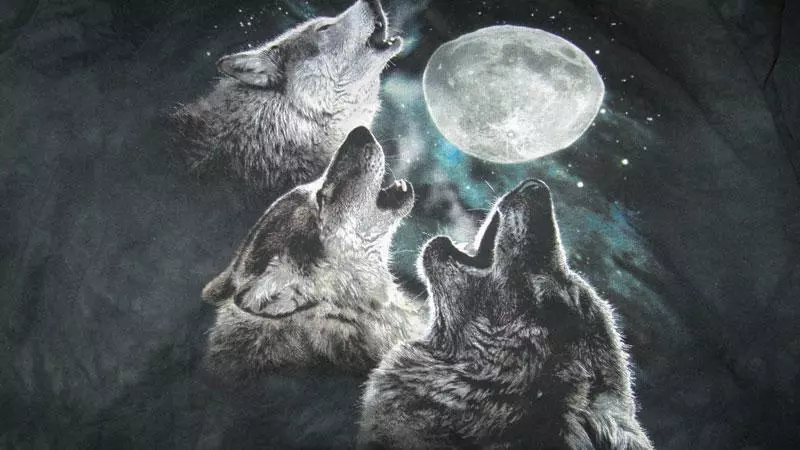 three wolf moon meme image