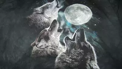 three wolf moon