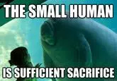 overlord manatee
