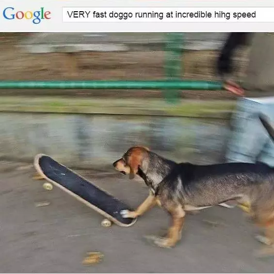 very fast doggo running at incredible hihg speed meme image