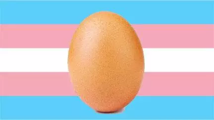 egg transgender meme image