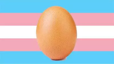 egg transgender