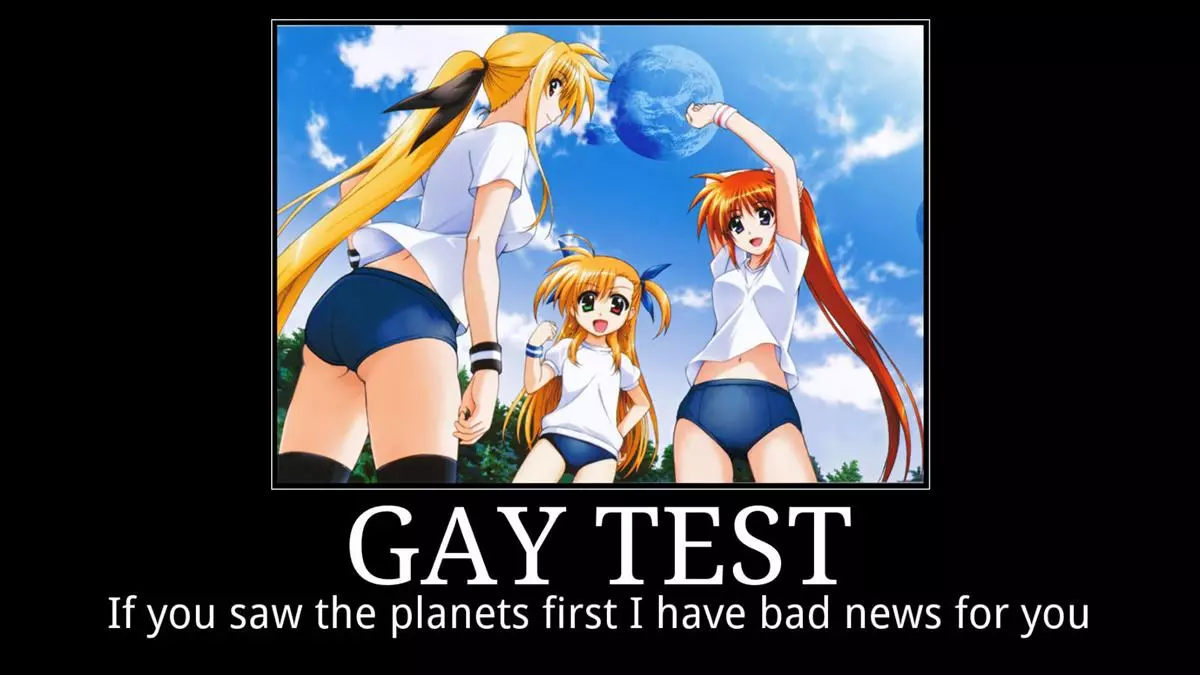 gay test demotivational posters meme image