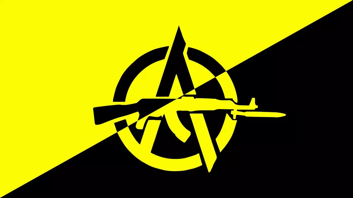 anarcho capitalism meme image