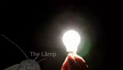 moth lamp