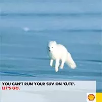 lets go arctic meme image