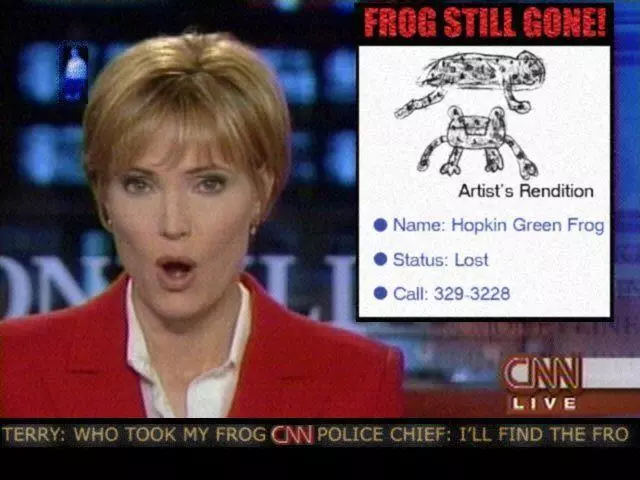 hopkin green frog meme image