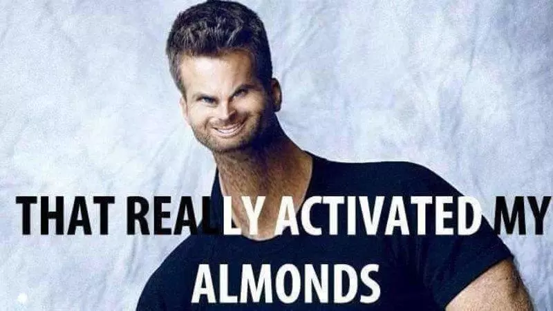 activated almonds meme image