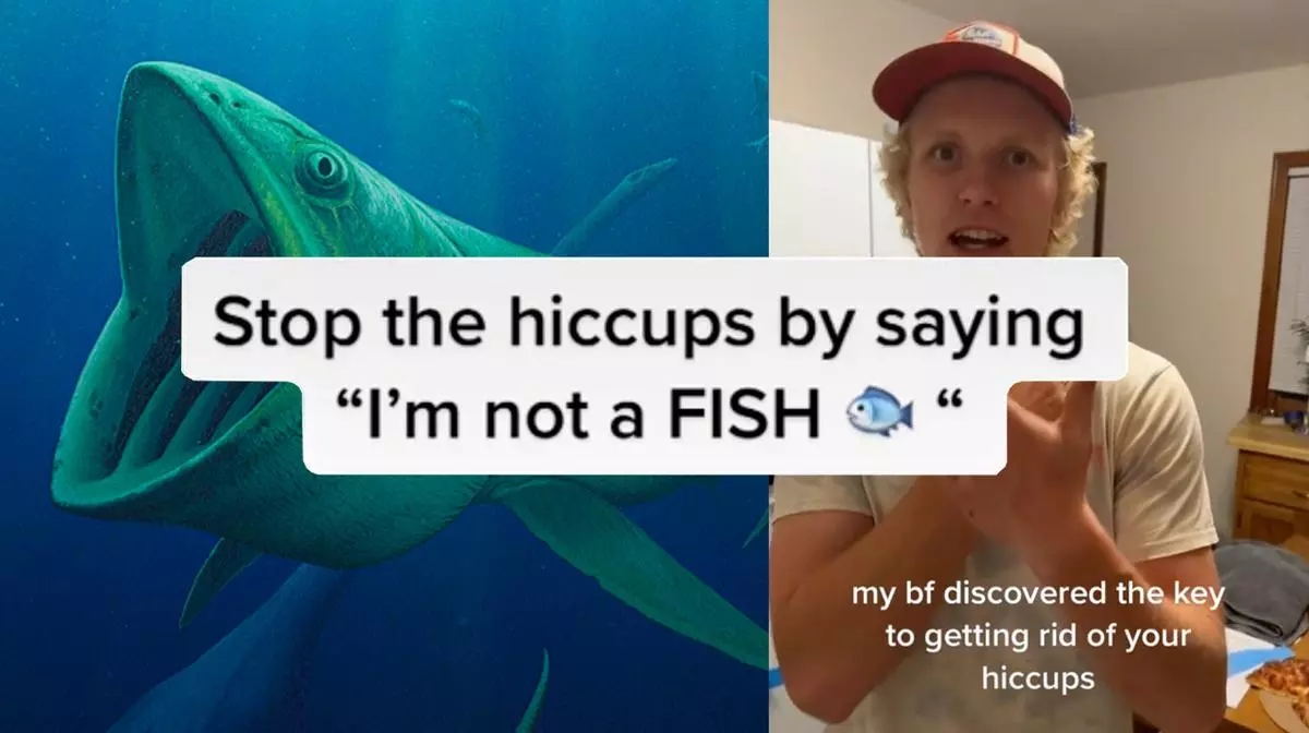 the i am not a fish hiccups cure meme image