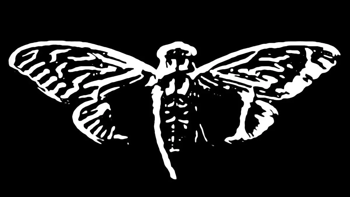 cicada 3301 meme image