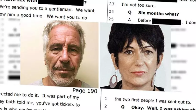 epstein files meme image
