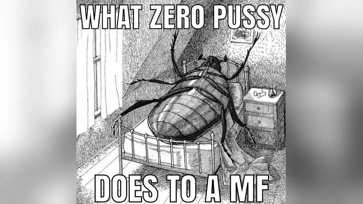 what zero pussy does to a mf meme image