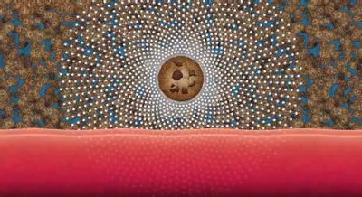 cookie clicker