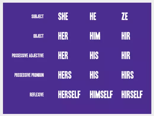 preferred pronouns meme image