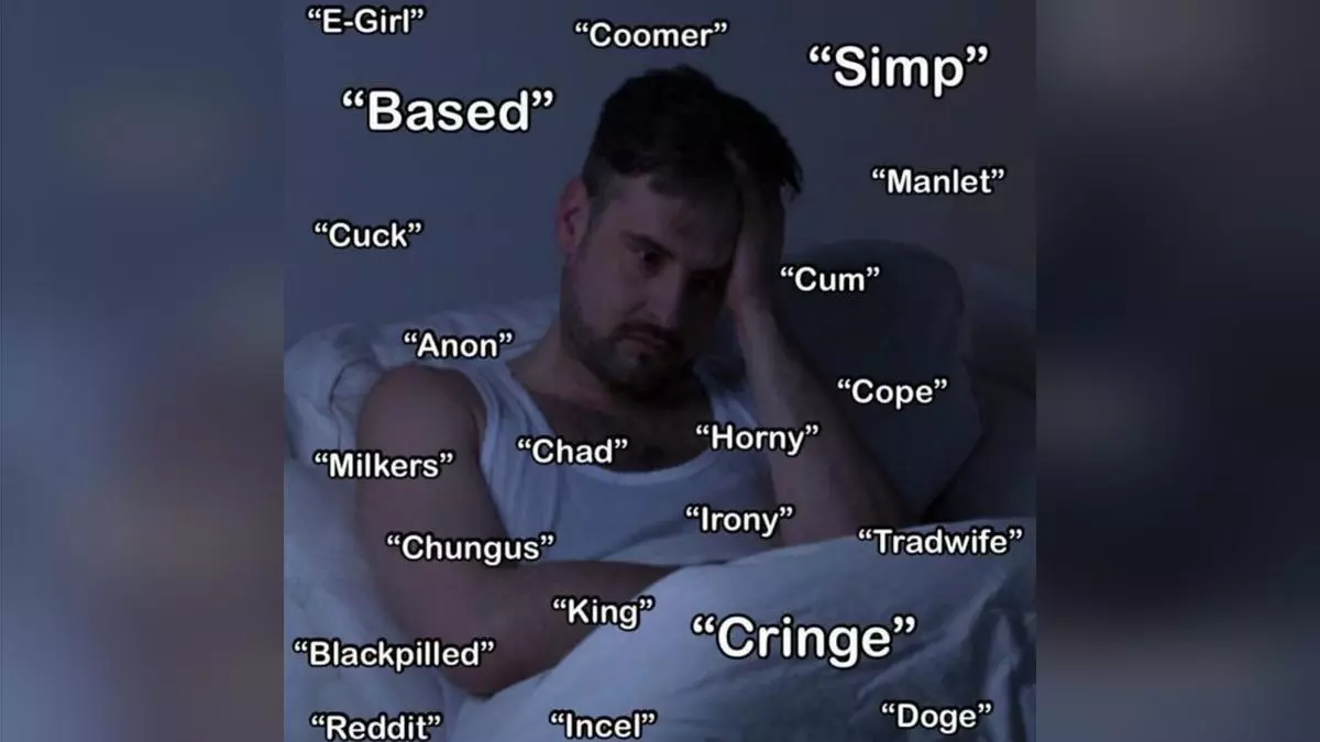 slang overload meme image