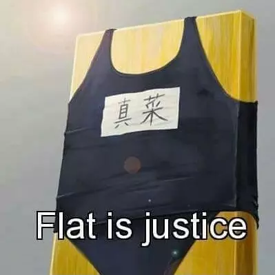 flat is justice delicious flat chest meme image