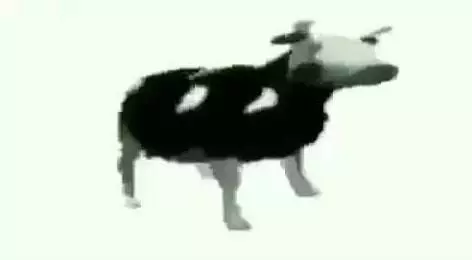 tylko jedno w glowie mam polish cow meme image