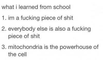 mitochondria is the powerhouse of the cell