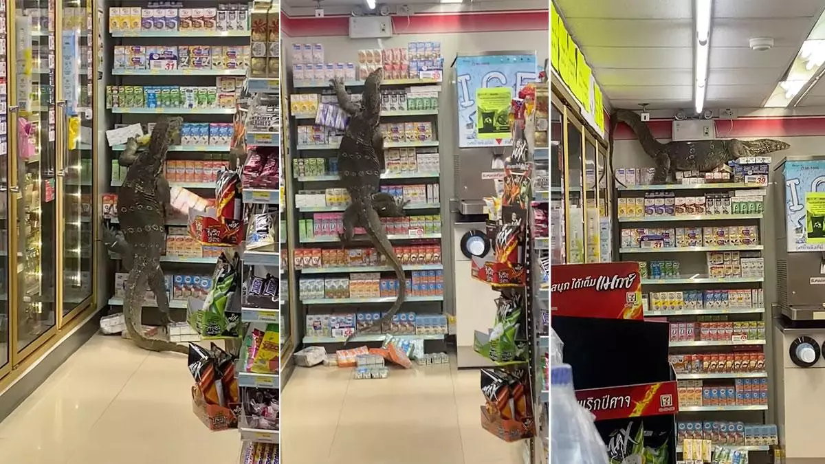giant lizard climbing supermarket shelves meme image