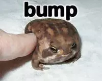 bump meme image