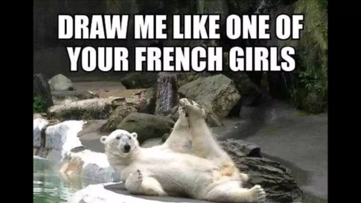 draw me like one of your french girls meme image