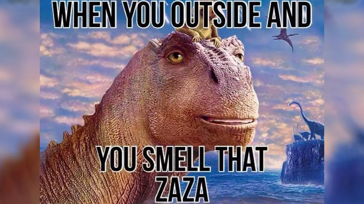 when you outside and you smell that zaza meme image
