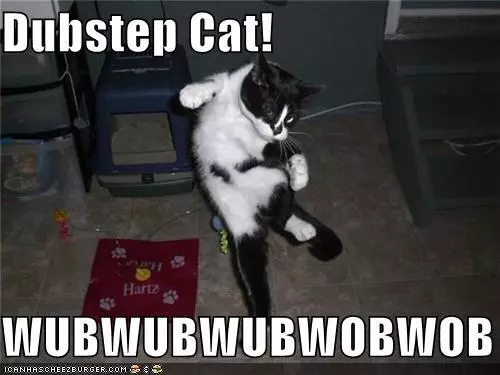 dubstep remix videos meme image