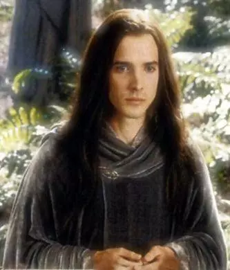 figwit meme image