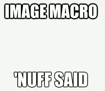 image macros meme image