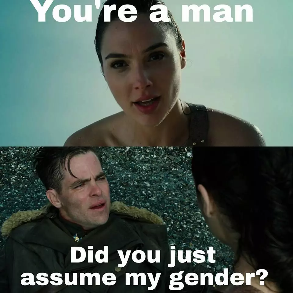 did you just assume my gender meme image