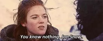 you know nothing jon snow meme image