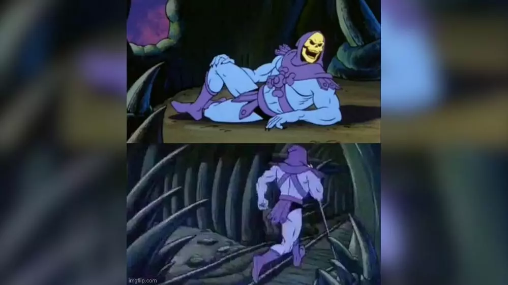 skeletor facts meme image