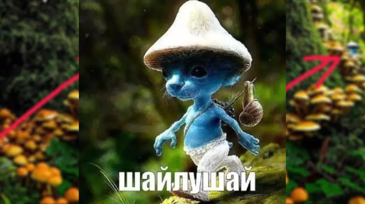 smurf cat %D1%88%D0%B0%D0%B9%D0%BB%D1%83%D1%88%D0%B0%D0%B9 meme image