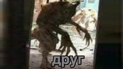 друг apyr