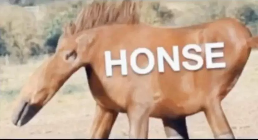 honse meme image