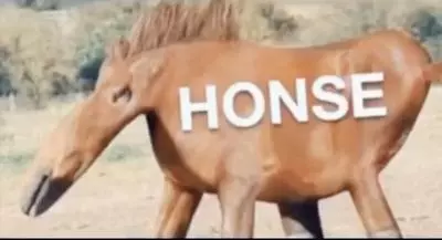 honse